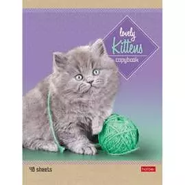 Тетрадь Hatber