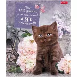 Тетрадь Hatber