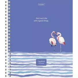 Тетрадь Hatber