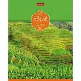 Тетрадь Hatber Colour 62947