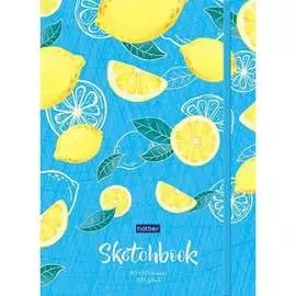 Тетрадь Hatber Premium SketchBook 66868