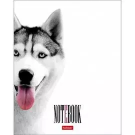 Тетрадь Hatber