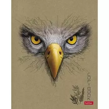 Тетрадь Hatber Взгляд 064479