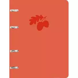 Тетрадь listoff ПБИ1204901