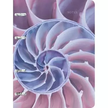 Тетрадь listoff ПБ1204985