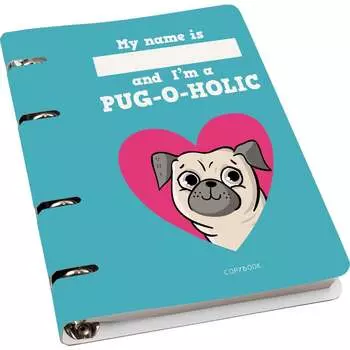 Тетрадь listoff ПБ804767