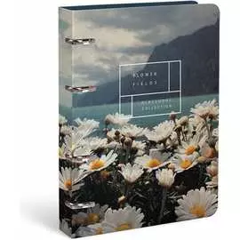 Тетрадь LOREX