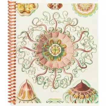 Тетрадь SVETOCH