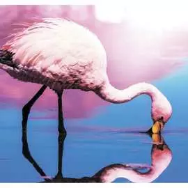 Тканевая шторка для ванны MELODIA