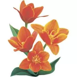 Тканевая шторка для ванны Melodia della vita Оранжевое настроение MZ-144 21031