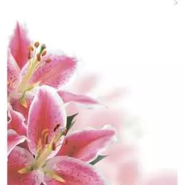 Тканевая шторка для ванны Melodia della vita Розовые лилии MZ-140 20912