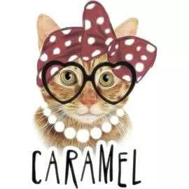 Тканевая шторка для ванны MELODIA Модная кошечка MZ-133 20905