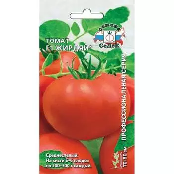 Томат СеДек Жирдяй F1 (ХИТ ОГ, тепл, дет, окр, пл/окр, красн, 200-300г, товарн, длит. хран.). Евро, 0,05 15101