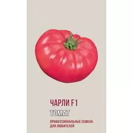 Томат семена Агрони