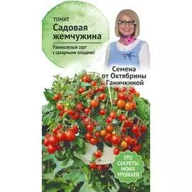 Томат семена ОКТЯБРИНА ГАНИЧКИНА Садовая жемчужина 119172