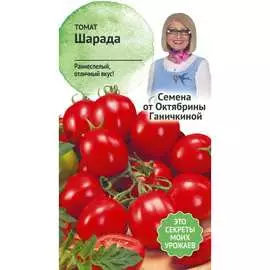 Томат семена ОКТЯБРИНА ГАНИЧКИНА