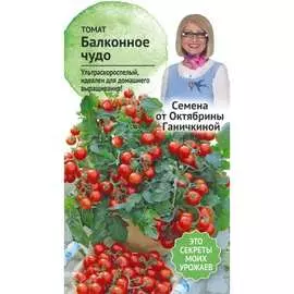 Томат семена ОКТЯБРИНА ГАНИЧКИНА