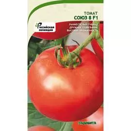 Томат семена Садовита