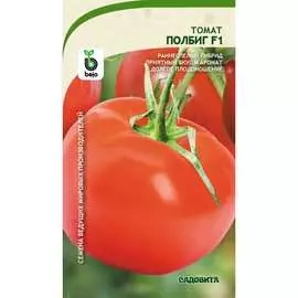 Томат семена Садовита