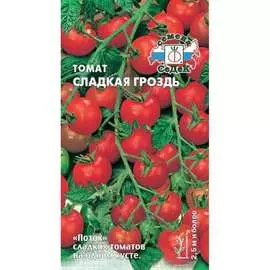 Томат семена СеДек