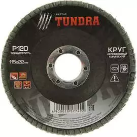 Торцевой конический лепестковый круг ТУНДРА 1857749