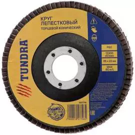 Торцевой конический лепестковый круг TUNDRA