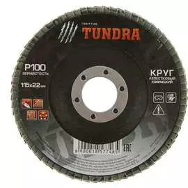 Торцевой конический лепестковый круг ТУНДРА 1857748