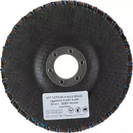 Торцевой лепестковый круг Totflex