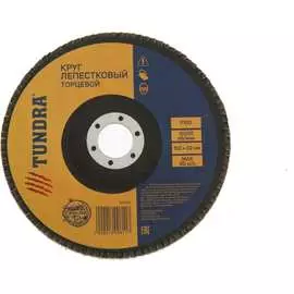 Торцевой лепестковый круг ТУНДРА 1300811