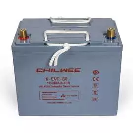 Тяговая аккумуляторная батарея Chilwee 6-EVF-80