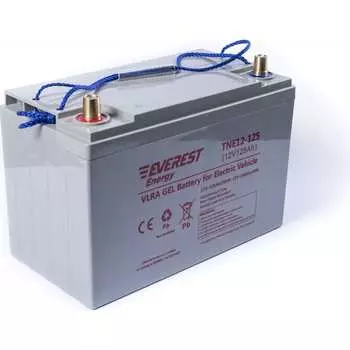 Тяговая аккумуляторная батарея EVEREST Energy Energy TNE 12-125