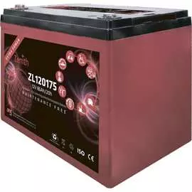 Тяговая аккумуляторная батарея Zenith