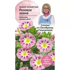 Трехцветный вьюнок семена ОКТЯБРИНА ГАНИЧКИНА