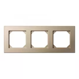 Трехместная рамка LIREGUS