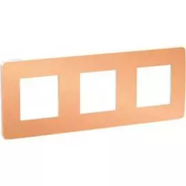 Трехместная рамка Schneider Electric