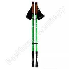 Трехсекционные палки для скандинавской ходьбы GESS Classic Walker GESS-915