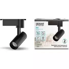 Трековый светильник Gauss TR076