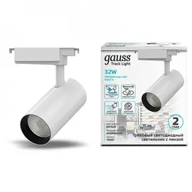 Трековый светильник Gauss TR087