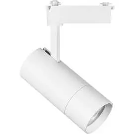 Трековый светильник Lightstar 229346