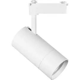 Трековый светильник Lightstar 229436