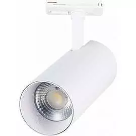 Трековый светильник ST luce MONO ST350.536.20.36