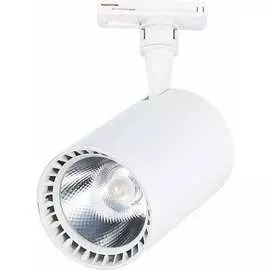 Трековый светильник ST luce CAMI ST351.546.30.36