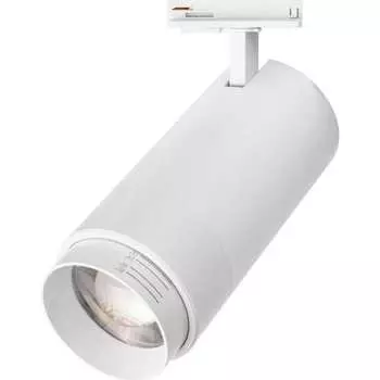 Трековый светильник Wolta WTL-45W/02W