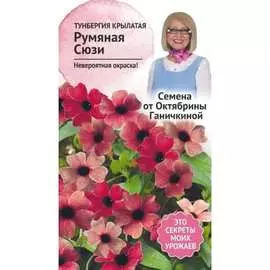 Тунбергия семена ОКТЯБРИНА ГАНИЧКИНА