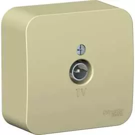 Tv розетка Systeme Electric Blanca BLNTA000017