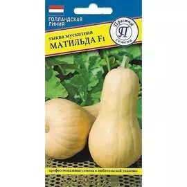 Тыква семена Престиж-Семена