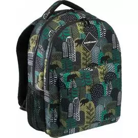 Ученический рюкзак ErichKrause