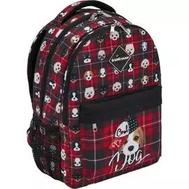 Ученический рюкзак ErichKrause