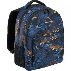 Ученический рюкзак ErichKrause