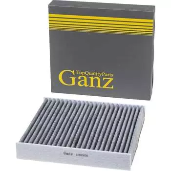Угольный салонный фильтр для RENAULT Logan/Sandero Ganz GIR03030